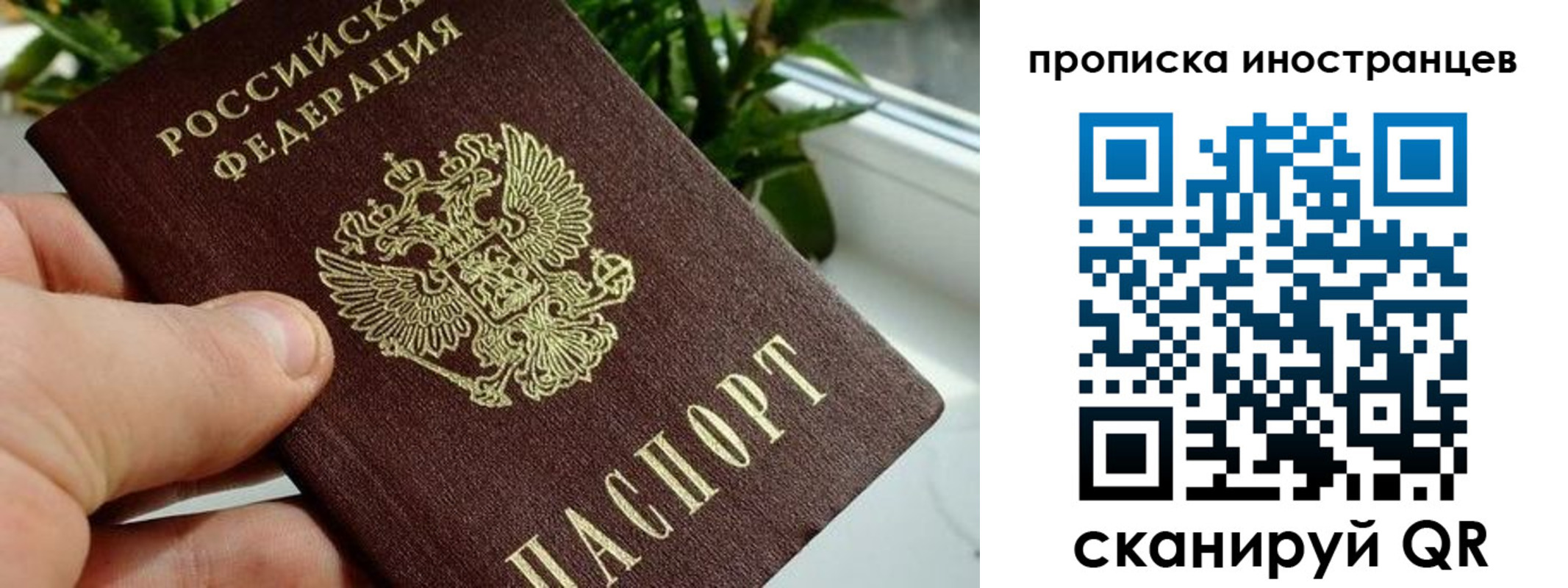 временная регистрация в Белгородской области